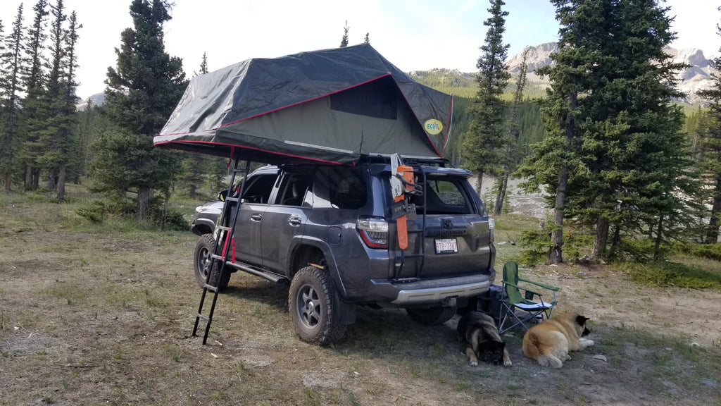 3 Person Ruggedized Roof Top Tent USD Pricing - Off Grid Trek